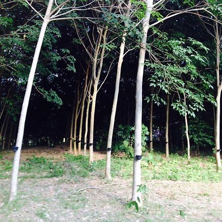 Mr Bao Homestay & Bungalows Ko Yao Noi Exterior photo